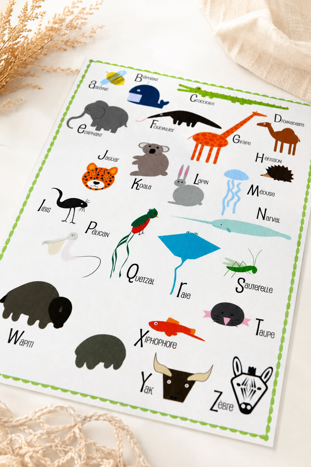 Affiche - L'abécédaire des animaux