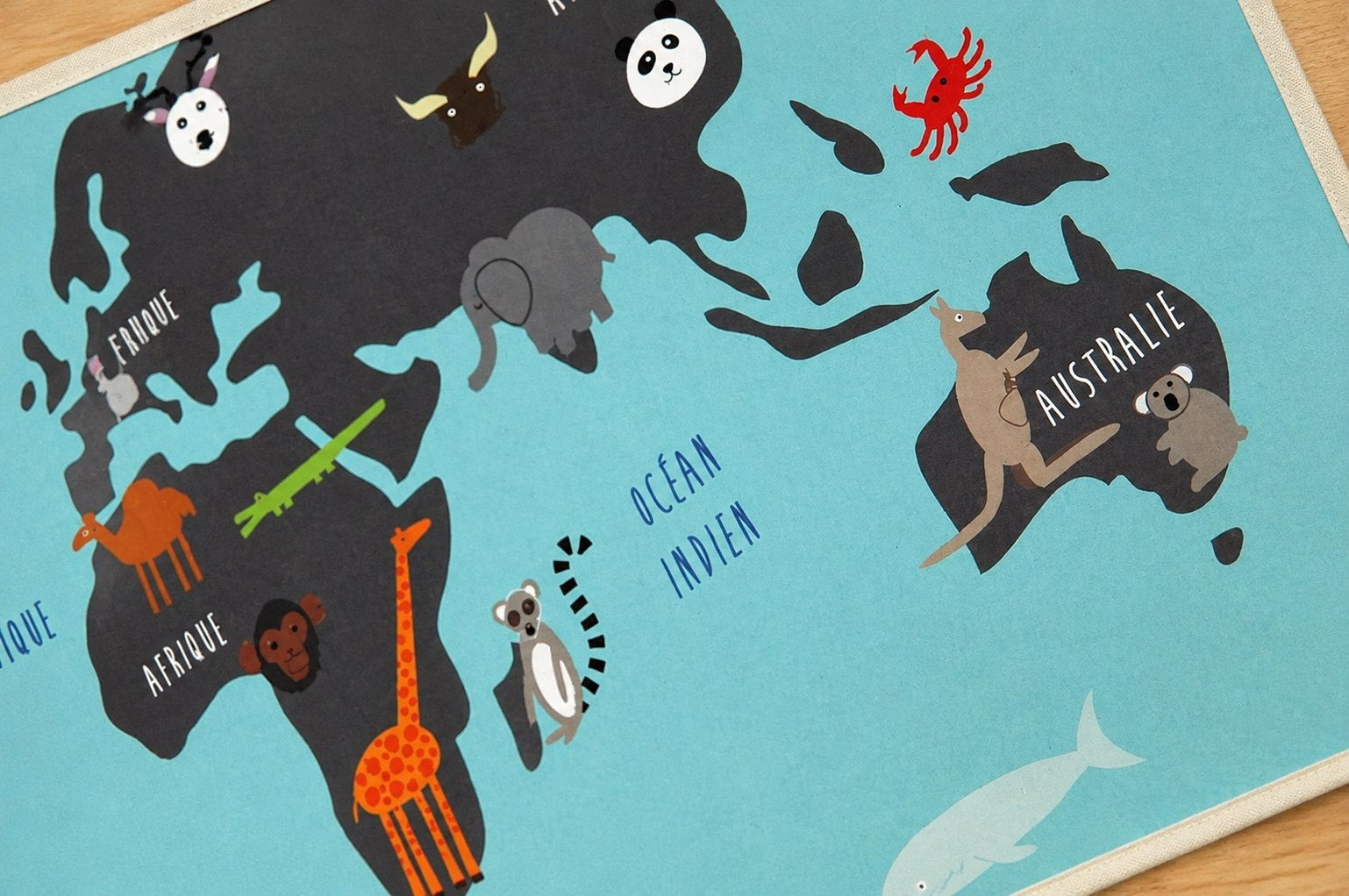 Affiche Les animaux du monde
